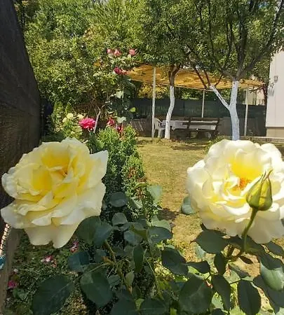 Villa Villa For A Large Family Sarajevo