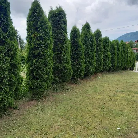 Villa For A Large Family * Sarajevo